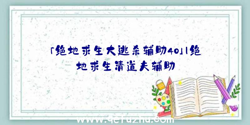 「绝地求生大逃杀辅助40」|绝地求生清道夫辅助